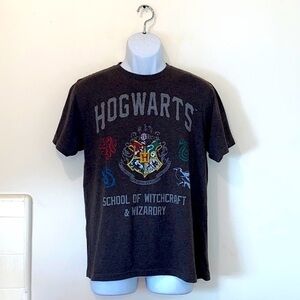 Unisex Harry Potter Hogwarts School of Witchcraft/Wizardry Graphic Tee